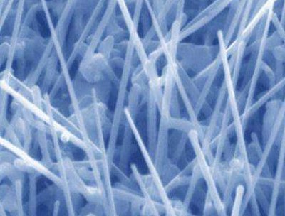 �{���I���Ժʿ�P�c���ϣ�