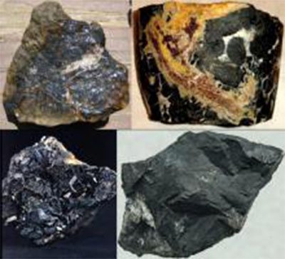 ���_ľ����ְl�Fһ♵V�a��