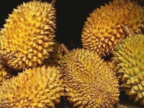 ����ϱ�D�f�����ٹ���ɏ�ˣ����д���;���ƌW�ң���ɏ��������늳�