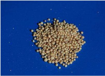 ������Ӱ� �����²�2020���ϰ���?du��)I�ա�������(r��n)�p�»�