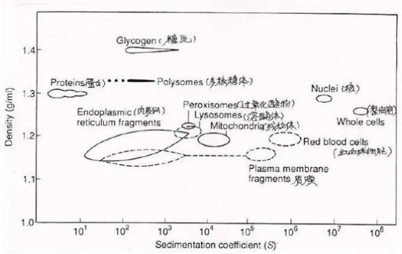 Сؐ�v��֮�x�ĳ����g(sh��)�Z - ����ϵ��(sh��)