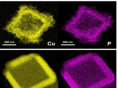 �������о��ˆT�l�F��ߵ͟ጧ�ʺ͸߄��Ե��²���