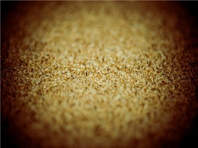 ϡ���a�I�lչҪ���пƼ����ڄ���