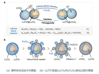 �Ϻ������}���̑B(t��i)늽��|(zh��)�մɲ����о��@�M(j��n)չ