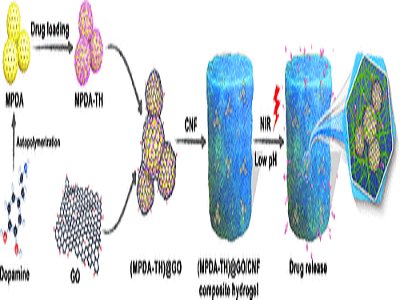 �҇��ƌW���״Ό��Fˎ�����ܿɿ�ጷ�