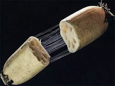 �ܡ�ź��z�B�����l �ƌW���Ƴ����ͷ������g�p��