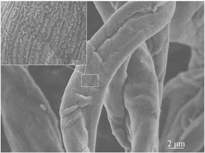 ��(l��i)���������ն������������ ��ֻ����������߀�����·�