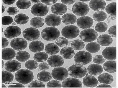 ��(gu��)����Ȼ�ƌW(xu��)���𡰹��ܽ�ײ��ϻ��A(ch��)�ƌW(xu��)���ġ��ڏ�(f��)����W(xu��)����(d��ng)