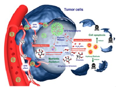 �Ϻ������}��������{�״߻��t�W���[���ί��²���