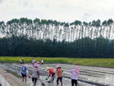 ���򻯌W���B�ޏͼ��gȡ������ʾ����Ч