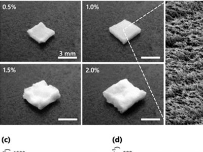 �|����W�Ƃ��һ�N���ᡢ��ȼ���п׼{���w�S�ظ����z