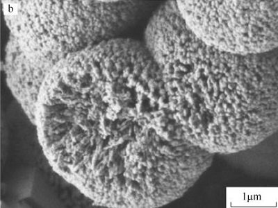 һ���˽⣺���̼���}��С�ס����ã�