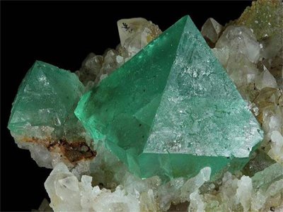 2020���Ї�Ξʯ�ИI����F���c������r����