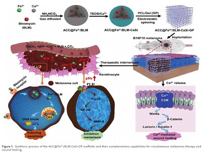 �ؑc��W�_�ҽ��ڡ��пƴ������Ժʿ������AFM��������̼���}���ϵ����������֧�������g��M���ޏ�