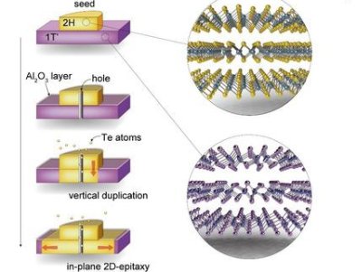 �����ڶ��S�댧(d��o)�w�ξ��Ƃ��о��Ы@��Ҫ�Mչ
