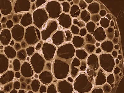 ��(sh��)�댍�F(xi��n)����΢�Y(ji��)��(g��u)��?f��)�׃�Q����λ�Ї�����W(xu��)��Ԕ�⡰ħ����