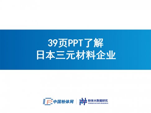 39�PPT�˽��ձ���Ԫ������I