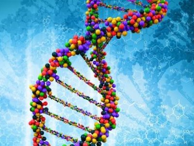 ��ʯ��ˎһ����������L3�� ��ُ���l(f��)ˎ�I(y��)�M��̼���}ԭ��ˎ�I(l��ng)��