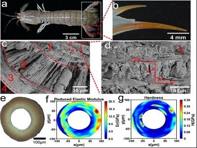 ���������ϡ�����r���ľ�з�����Ƃ���ߏ����g�����ͺϲ���