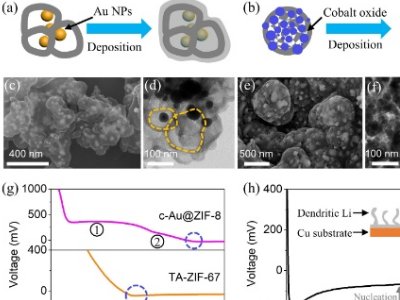 �Ϻ������}����䇽���늳�ؓ�O��MOF����Ϳ�Ӽ����僂��|(zh��)ģʽ�о���ȡ��ϵ���Mչ