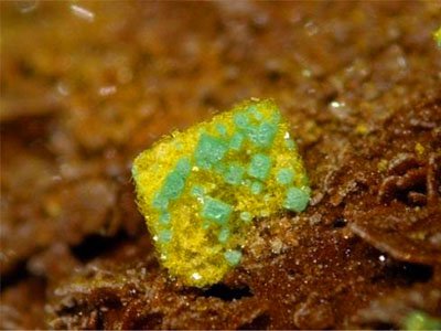 �҇��䌍�����f����♵V�YԴ�������