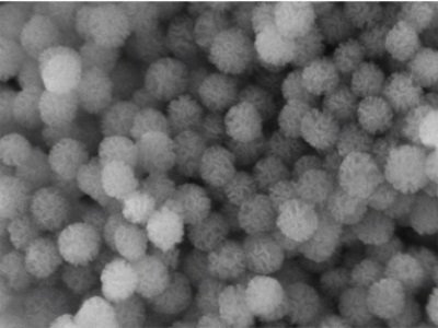 ���_�l�����ӡ��{���w�����g