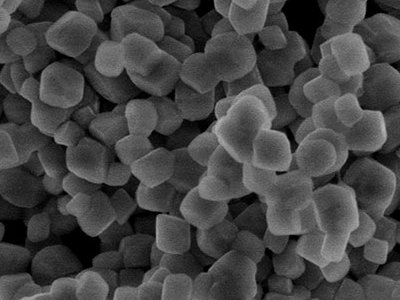 10��N�o�C���w�ڸ��������еđ���