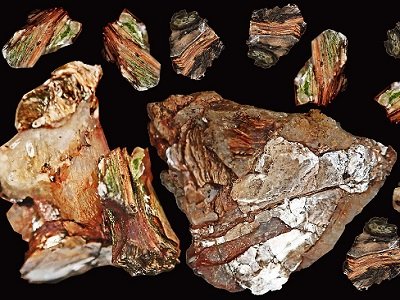 �V�����L�C���о��@���J�R �_���´���