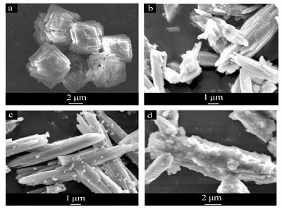 ��̽���{��̼���}�ȱ���e�����Ԅ����������Ԅ��N����wϵ�����،��z�ϵ�Ӱ푣�