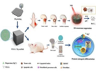 �������g���ί������ޏ������о��@�Mչ