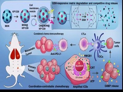 �����ˆT�_�l����λ푑��Ϳɽ����������