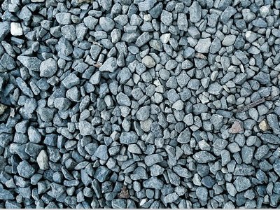 �Ĵ������l����2021��Ĵ����������P�I�V�aչ����