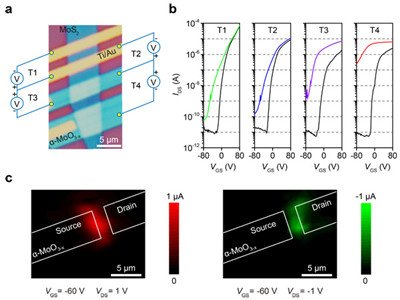 �f���p���|�Y���̽�y���о�ȡ����ͻ��