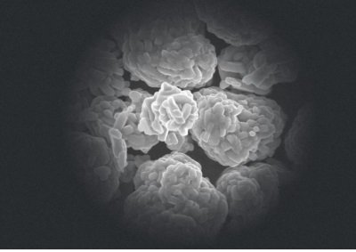 ��һ����늳���I�i����؛���ݰٿƼ��@�����Ԫ�����L��