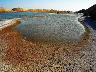 �_�����}����}�ɵV��Փ�о�ȡ�����Mչ