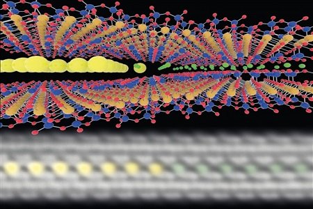 ԭ�ӡ����ա���ʾ����ճ���е��x���\��