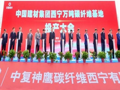 �҇��ׂ��f��̼�w�S���a����Ͷ�a