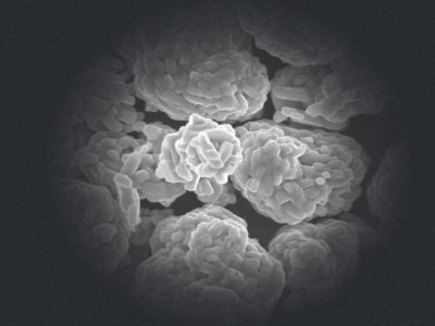 ȫ��늳ؾ��^�°l(f��)711�|������Oӆ�Σ�