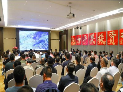 2021����ߌÇ��H̼���}�a(ch��n)�I(y��)���[����(c��)ӛ����ƽ����̼���}�ƽ��֮�� �f���c����Ҋ��