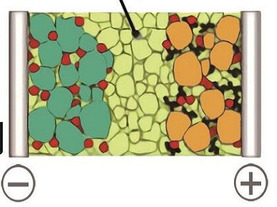 �o�C�̑B(t��i)�c�x��늳�늽��|(zh��)һ�[