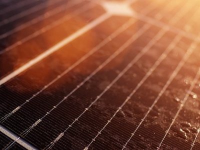 2020���������ИI�о����