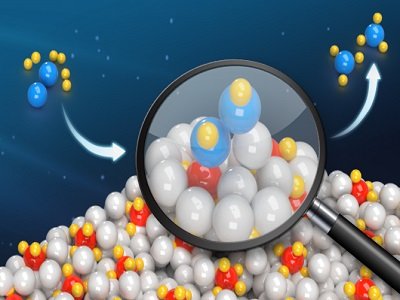 ���ʹ߻������F�غ͗l���°��߻��ϳ�