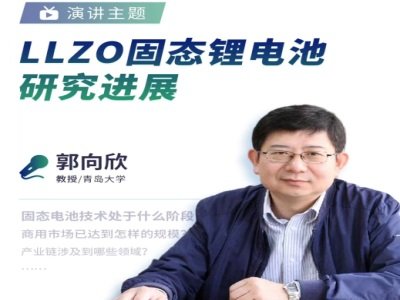 ���u��W����������:LLZO�̑B�늳��о��Mչ