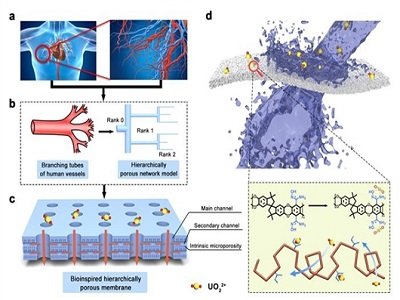�����ˆT���÷����ּ����Ĥ���F(xi��n)��Ч��ˮ���
