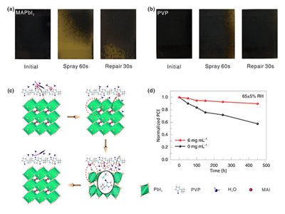 ���w���_�l�����ޏ͵��}⁵V̫�늳�