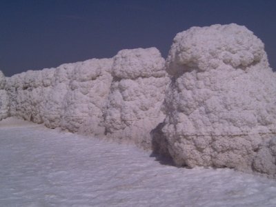 �Ї��ƌWԺ�ຣ�}���о����������}���Ƽ��I