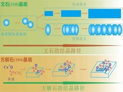 ����ʮ���塱ԭ���Ϲ��I(y��)�l(f��)չҎ(gu��)�����l(f��)����̼���}����ӡ��ǽ��ٷ��w���ϰl(f��)չ�@3�N���g(sh��)��