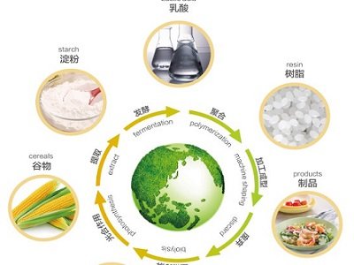 һ���˽⣺�����ᣨPLA�����ｵ�����ϸ��Լ��g���a�I���Mչ   