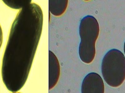 ��ӹ��I����ȱ�ٵ��B�Ӳ��ϡ������a��