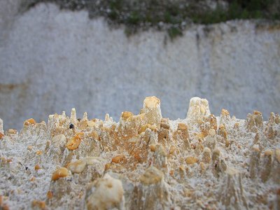 �c�a(ch��n)�I(y��)ͬ��ح2021���w�a(ch��n)�I(y��)��P�c(di��n) �ߎX��